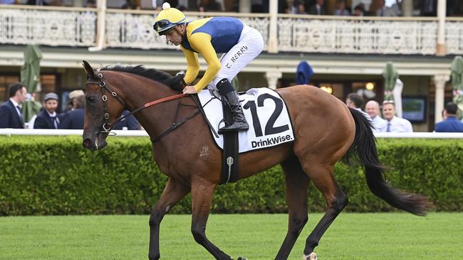 Stefi Magnetica is a Doomben 10,000 bolter. Picture: Bradley Photos.