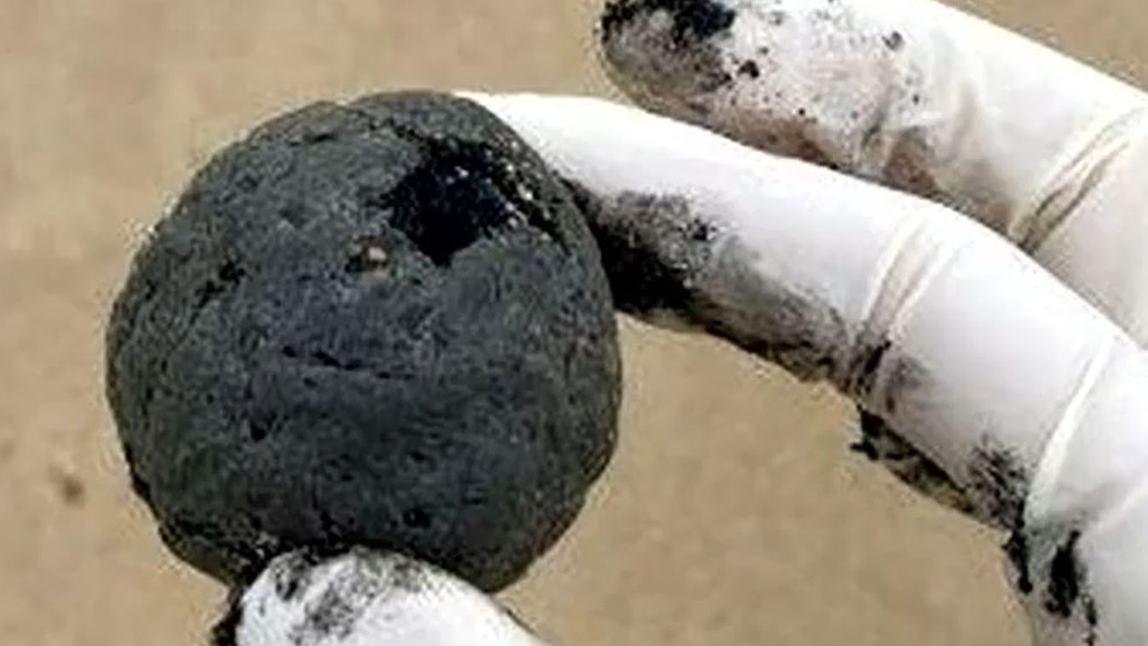 Sydney tar balls: Mysterious black balls made up of cooking oil, faeces ...