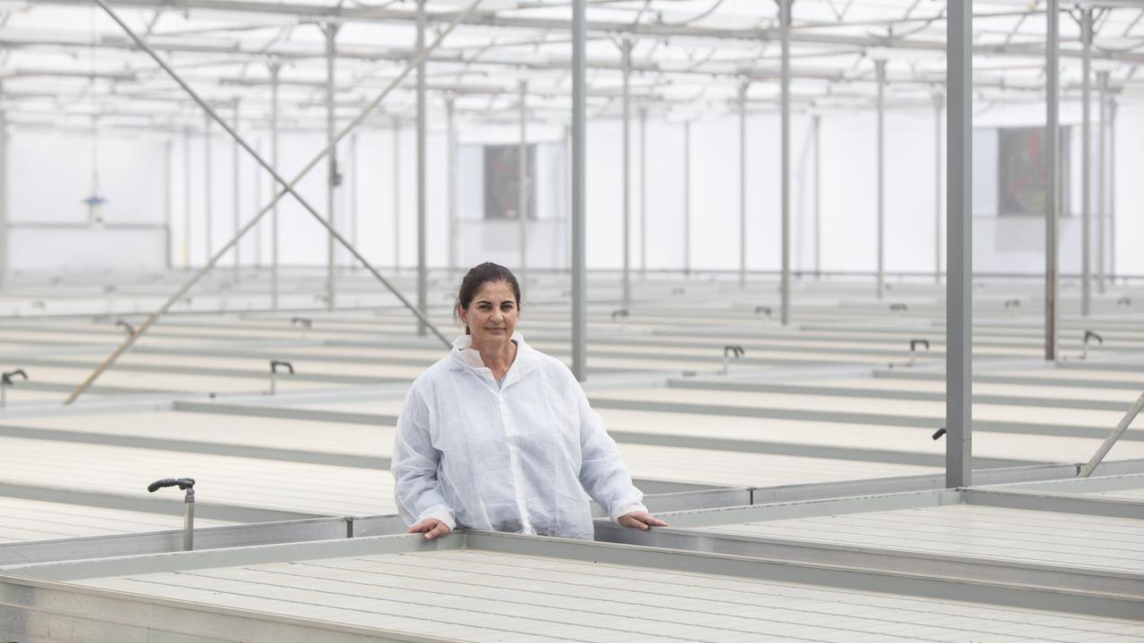 Oriana Petsios in a glasshouse that should be full of seedlings. Picture: Brett Hartwig