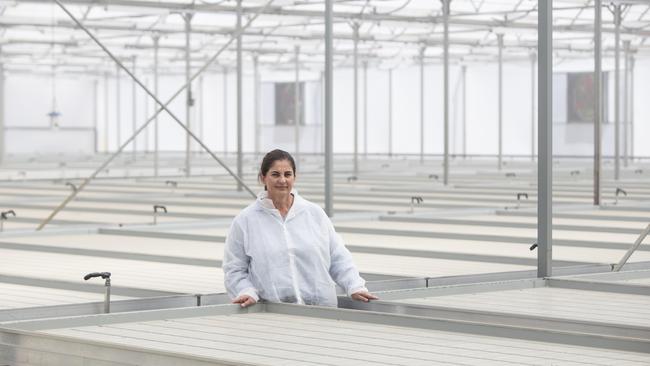 Oriana Petsios in a glasshouse that should be full of seedlings. Picture: Brett Hartwig