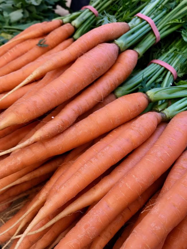 Fresh carrots. Picture: Jenifer Jagielski