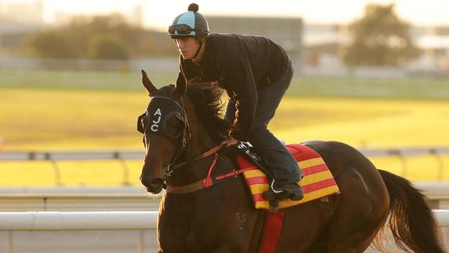 Your Song (pictured), the sire of Midnight Dream, who races at Dubbo on Monday.