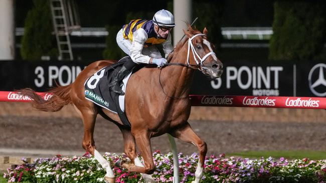 Deakin thumped his rivals in the Torney Cup at The Valley last Friday night. Picture: George Salpigtidis/Racing Photos via Getty Images