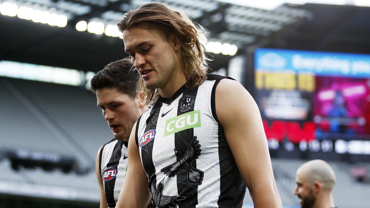 Darcy Moore is set for a sideline stint (Photo by Dylan Burns/AFL Photos via Getty Images)