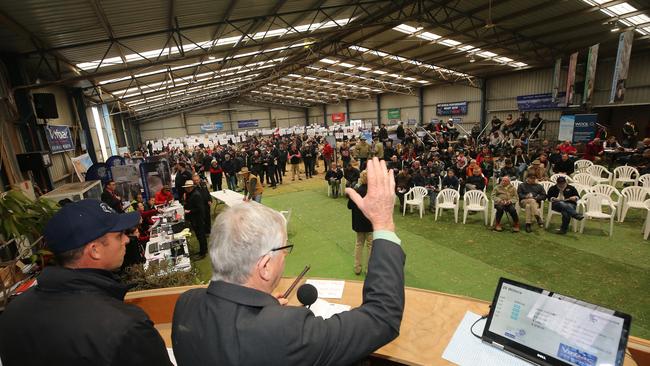 Elders auctioneer Andrew Sloan taking bids at the last in-person Sheepvention ram sale, held in 2019. Picture: Yuri Kouzmin