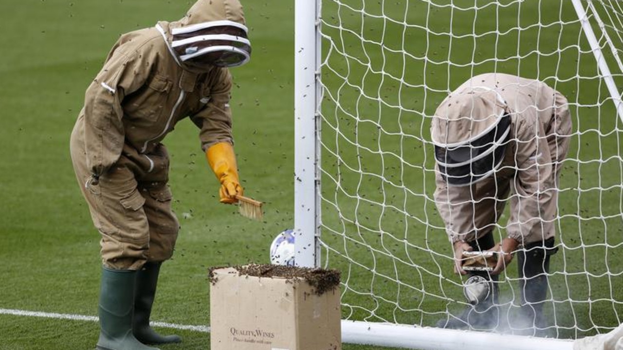 A bees nest is removed from the goalposts before a game between the Blackburn Rovers and Oldham Athletic in Oldham, UK, July 2015. Picture: Action Images/Ed Sykes