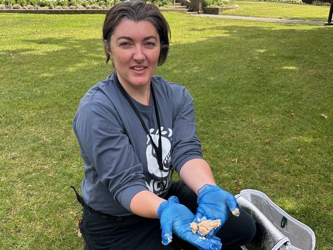 Jess Coghlan from Neighbours of Fish Farming with salmon waste on Parliament Lawns in Hobart on Friday, February 21, 2025.