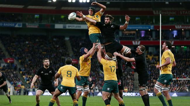 Adam Coleman says the Wallabies believe more than ever that they can beat the All Blacks.