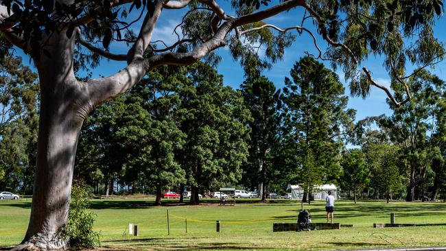 Parramatta Park is sprawled over 85 hectares. Picture: Monique Harmer