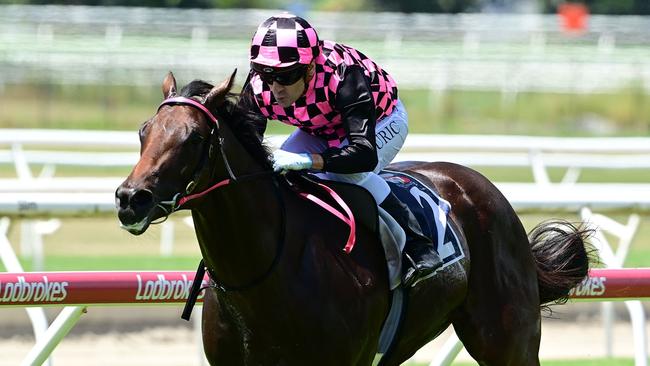 Pretty Dubious scores an easy win in the QTIS Jewel Prelude (colts and geldings) at Doomben on Saturday. Picture: Grant Peters/Trackside Photography