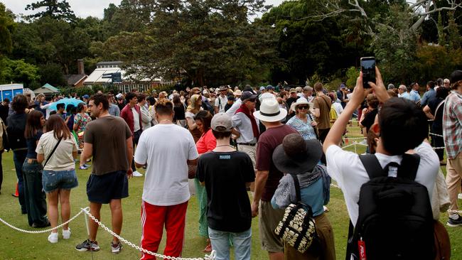 SYDNEY, AUSTRALIA - NewsWire Photos JANUARY 23, 2025: People line up to catch a glimpse of the Corpse flower, Bunga Bangkai, as it begins to bloom in Sydney for the first time in fifteen years. Picture: NewsWire / Nikki Short