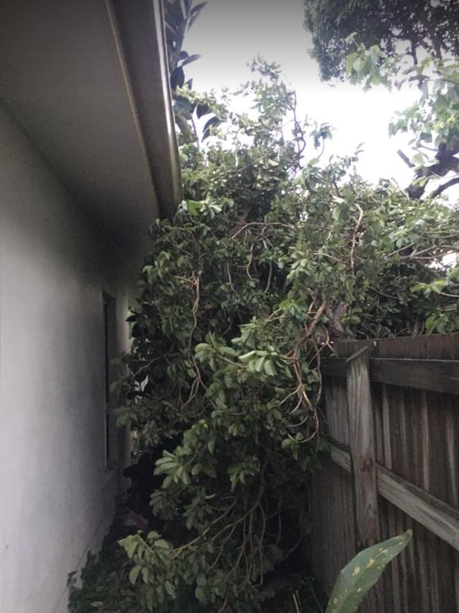 A tree on a house after Tropical Cyclone Kirrily hit Townsville: Evan Morgan