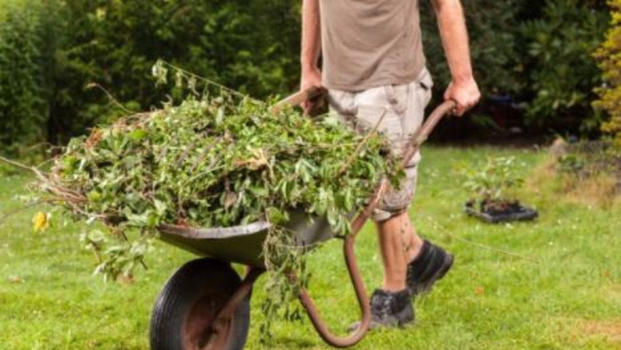Explained: One week of free green waste disposal