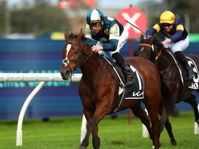 SYDNEY, AUSTRALIA - JUNE 15: Adam Hyeronimus riding Sir Lucan  wins Race 8 KIA Winter Cup during Winter Cup Day - Sydney Racing at Rosehill Gardens on June 15, 2024 in Sydney, Australia. (Photo by Jeremy Ng/Getty Images)