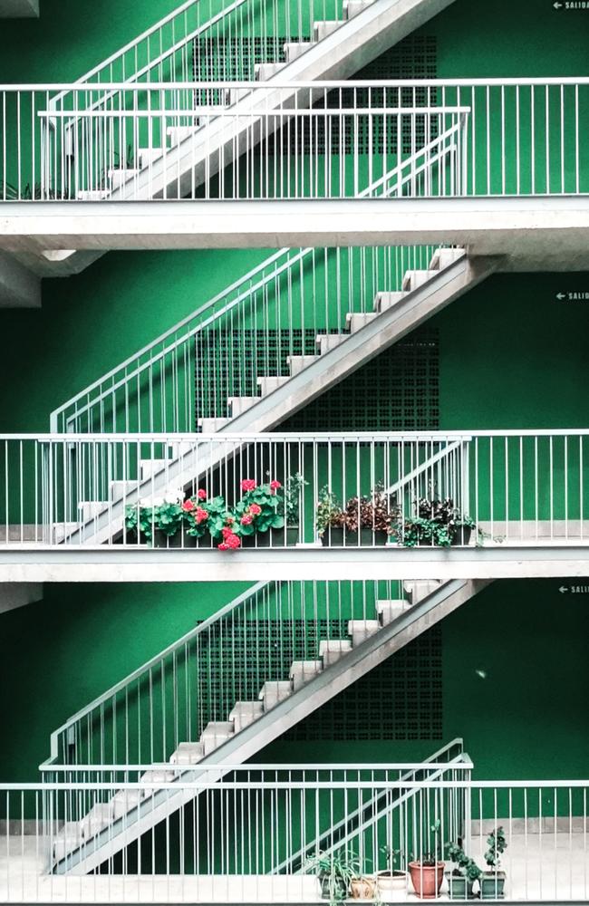 Pictures from #Green2020, Agora’s latest online photo contest. 'Stairs' by @nerealapupas (Spain).