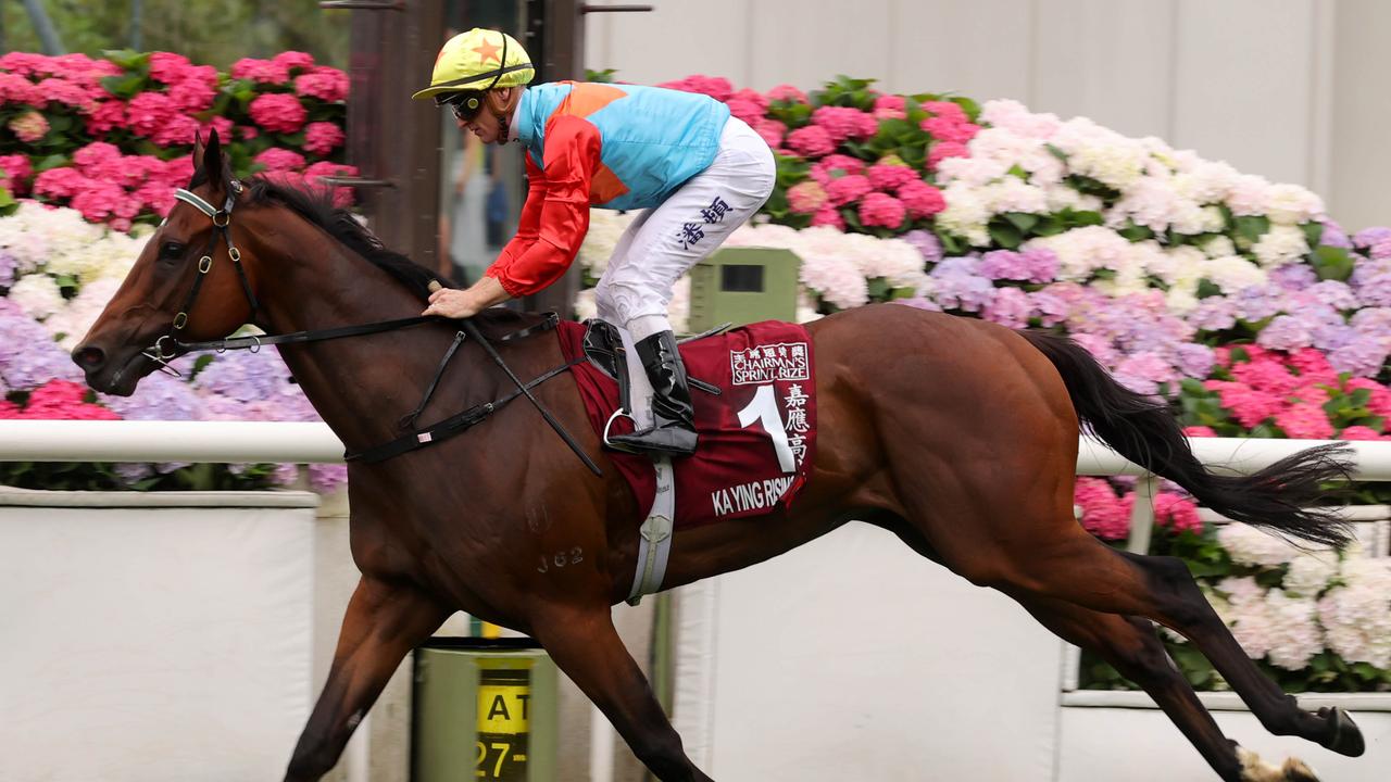 Ka Ying Rising set for Sydney spring double as slot decision looms