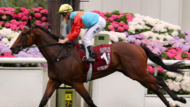 Ka Ying Rising takes out the Chairman's Sprint