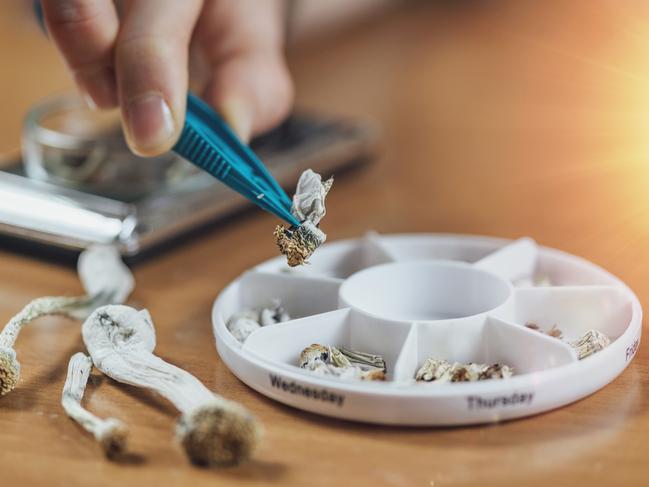 Psychedelics induce the brain to allow a reset to take place and permit alterations in previously ‘stuck’ ways of thinking and feeling. Picture: iStock