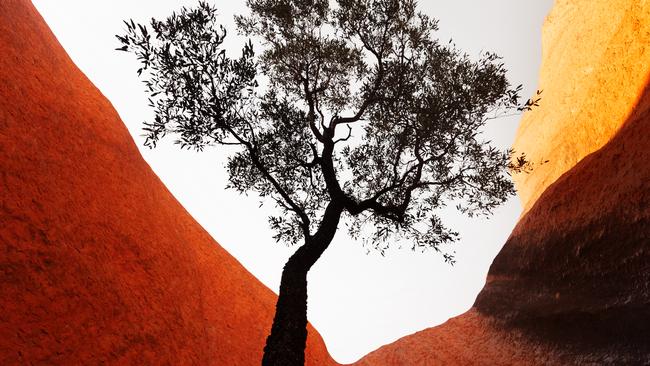 A new book capturing the NT’s natural beauty by Louise Denton is to be released in April. Picture: Supplied (Louise Denton)