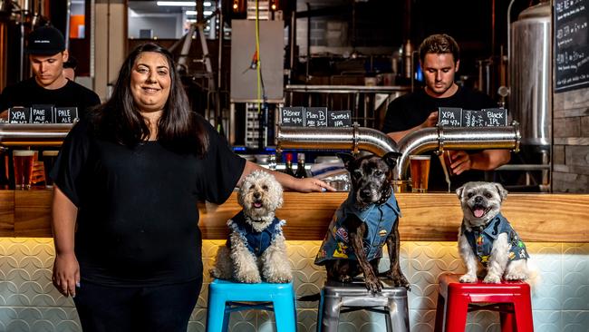 Alina Michaels with her dog Coco the Peekapoo and dog pals Angel, a staffy and Chubbs, a pug cross Shih tzu at 7th Day Brewery, Brookvale. Picture: Monique Harmer.