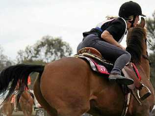 Elyce Smith from Zone 27 (Rockhampton), gets back on her horse in style during the stepping stones round of the junior mounted games competition at the Morgan Park Polocrosse fields on Saturday. Picture: Erin Smith