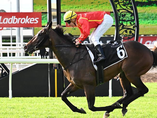 Tony Gollan faces a nervous wait to find out whether Transatlantic has made next Saturday's Group 1 Stradbroke Handicap field after his win in the Spear Chief Handicap at Eagle Farm. Picture: Grant Peters, Trackside Photography.
