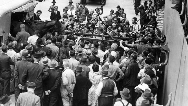 Bernborough about to be loaded onto a boat in 1947 to set sail for America.