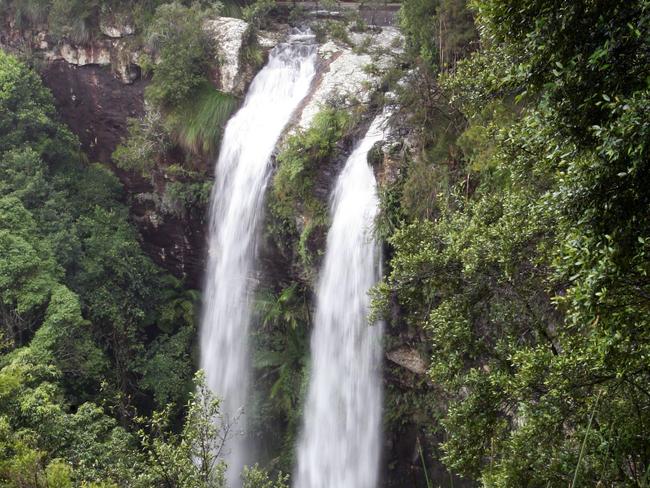 Rainforest scenes from Springbrook National Park in the Gold Coast Hinterland. Canyon Lookout’s Twin Falls. 