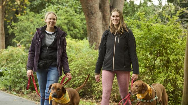 Million Paws Walk in the Adelaide Botanic Gardens, Sunday, May 28, 2023. Picture: Matt Loxton