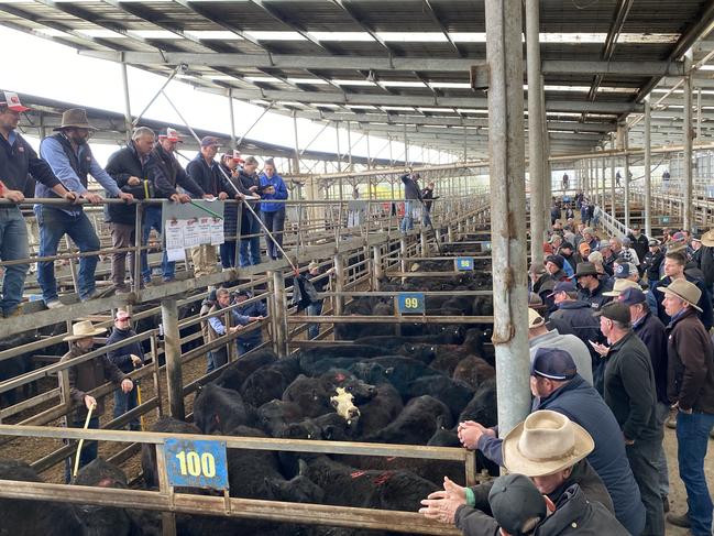 The laneways were packed, with a full presentation of buyers from local producers to the big lots. PICTURE: Madeleine Stuchbery.