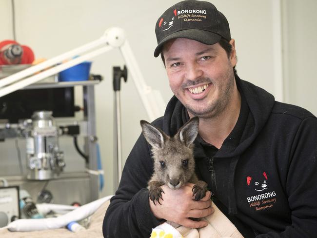 Bonorong Wildlife Sanctuary director Greg Irons has dedicated his life to saving injured wildlife. Picture: Chris Kidd