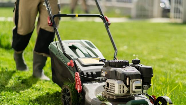 Calls for more frequent lawn mowing on cairns roundabouts to improve safety. Picture: iStock.