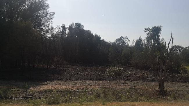 The area burnt by the fire at Helensvale yesterday. Picture: Supplied