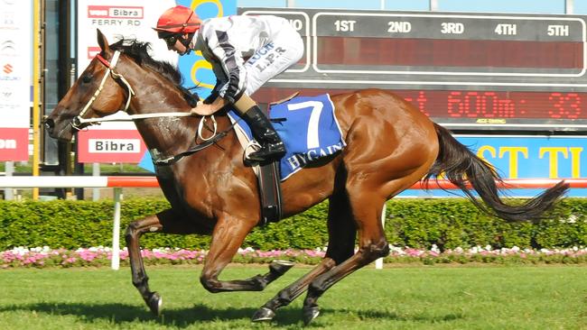 Jockey Luke Rolls rides the Mel Eggleston-trained All Over Bosanova to victory at the Gold Coast on  January 28. Photo: Grant Peters, Trackside Photography.