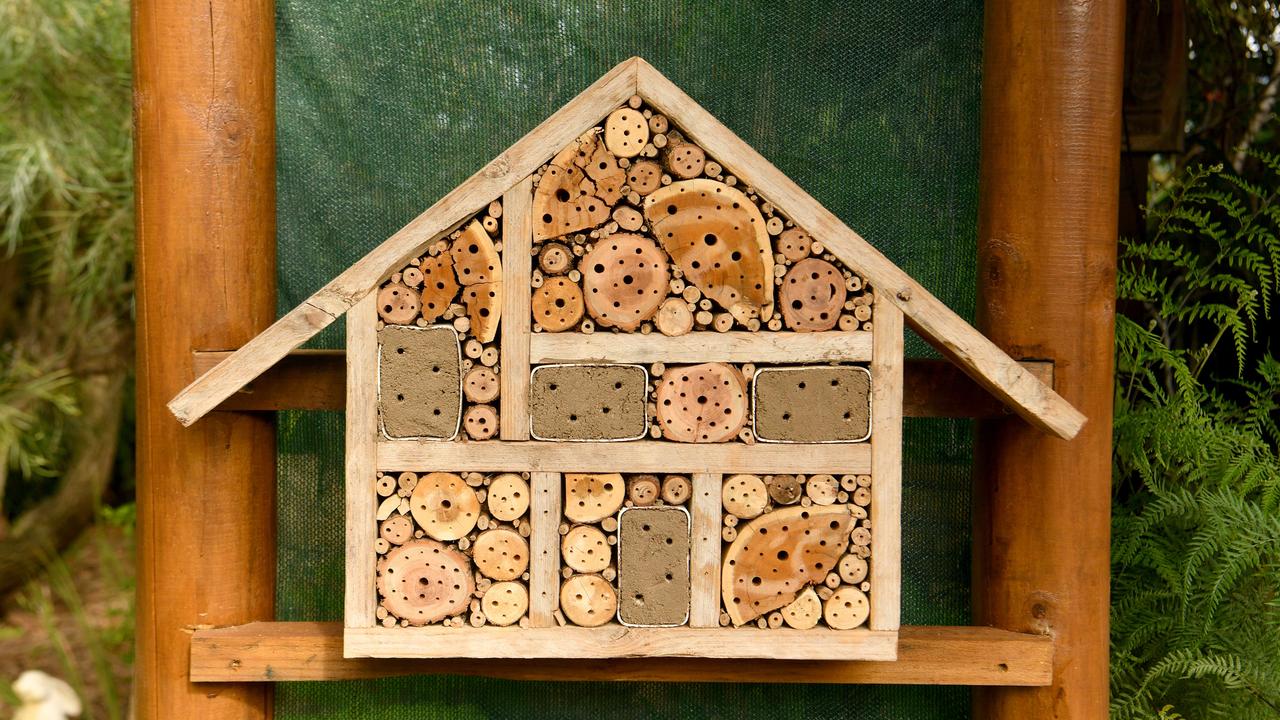 Bee hotels can provide safe resting places for native bees on the move. Picture: Evan Morgan