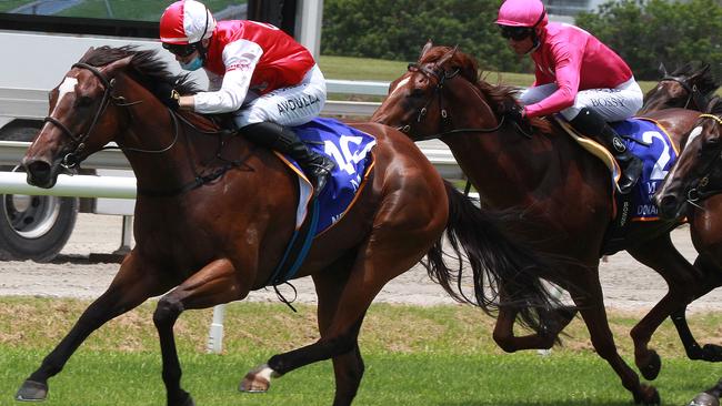 Newsreader goes for home in the opening race at the Coast. Picture: Mike Batterham