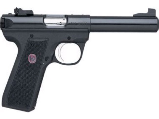 A Ruger 10-shot magazine is one of the guns available on O’Reilly’s Firearms website.