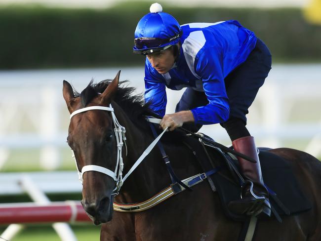 Winx-mania is set to grip the nation one last time. Picture: Getty