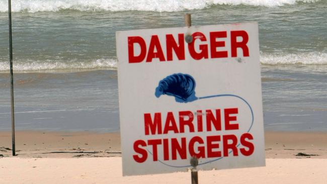 Marine Stingers sign on the beach on the Gold Coast. Photo: File