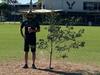 Arborist needed: North Brisbane football club gifted bizarre surprise