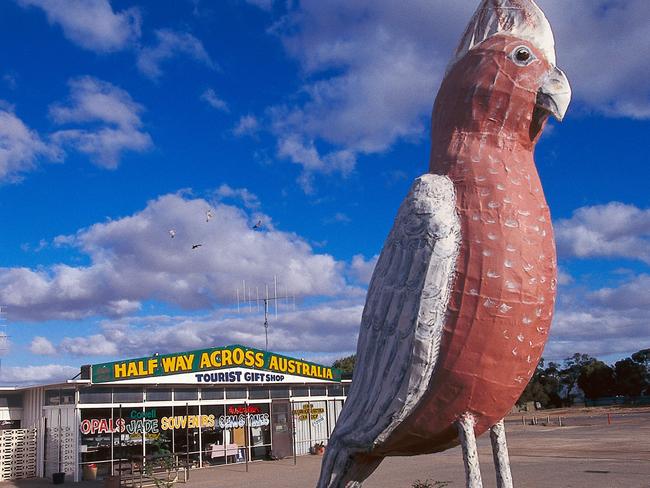 AFCNPB The Big Galah, Kimba SA, Australia  Picture: Alamy