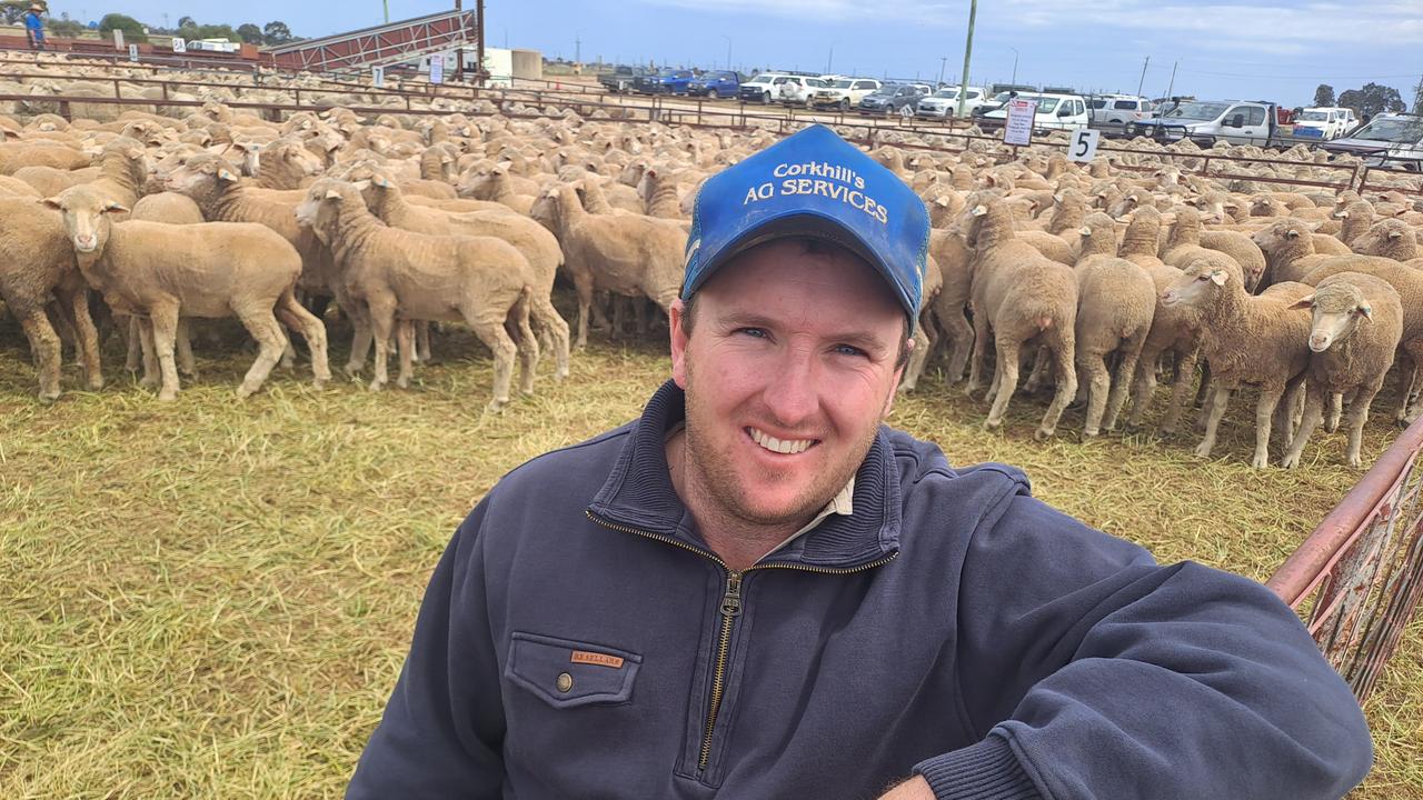 Jerilderie sheep sale: ‘It was certainly under our expectations’