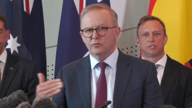 Prime Minister Anthony Albanese responds to claims he lied to rally organiser Sarah Williams after footage revealed their exchange - Sky News Australia