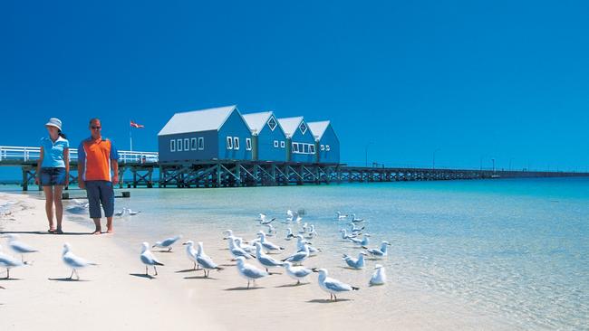 You’ll be sharing the territory with the gulls. Picture: Tourism Western