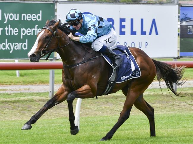 Blitzburg is looking to make it two from two when he heads to Wyong. Picture: Bradley Photos