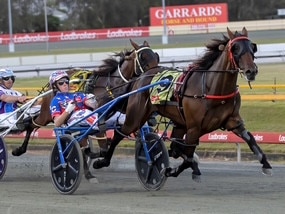 Rising star driver Angus Garrard won the 2025 Ultimate Driver Challenge at Albion Park after a string of exceptional performances on Friday and Saturday nights. Picture: Dan Costello