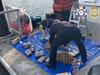 Bikie arrested in biggest ever coke bust