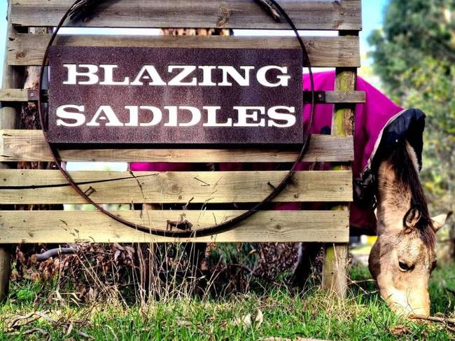 Blazing Saddles Trail Rides from Aireys Inlet. Picture: Instagram