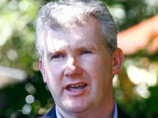 Environment Minister Tony Burke