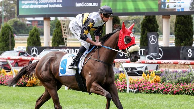 Roll On High will drop back from Group 2 company in the Listed Bendigo Guineas on Saturday. Picture: Racing Photos via Getty Images